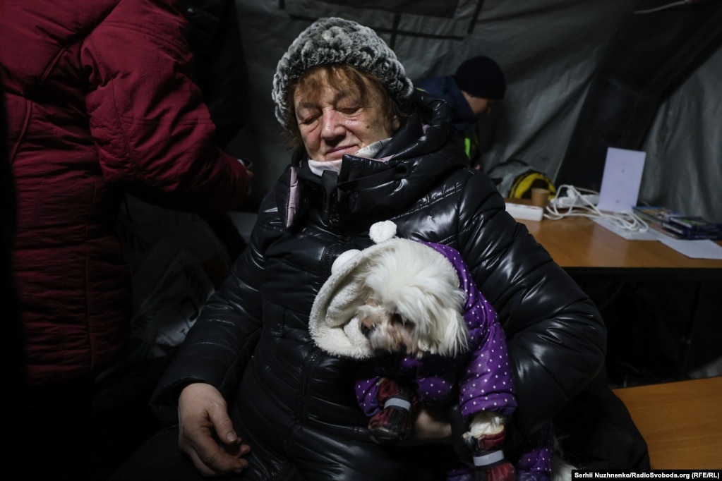 Edhe kafshët shtëpiake janë të mirëpritura. Në gjithë Kievin janë 1.200 pika të tilla.