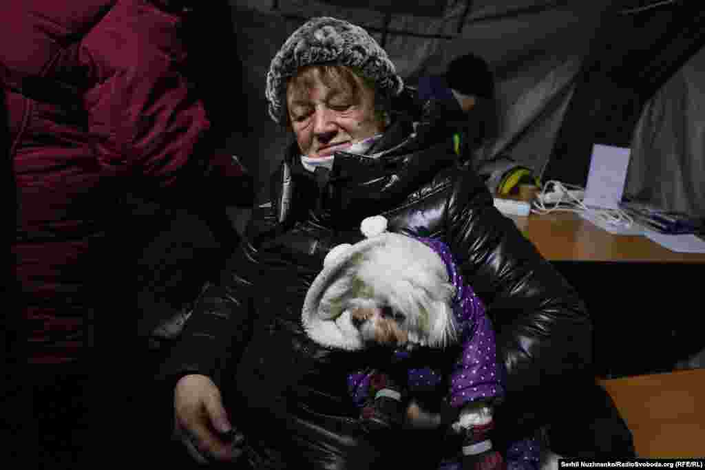 Люди приходять сюди із домашніми улюбенцями.Загалом у Києві працюють понад 1200 пунктів