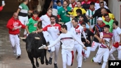 Učesnici trče pored bikova na ulazu u arenu tokom sedmog trčanja bikova na festivalu San Fermin u Pamploni, na sjeveru Španije, 13. jula 2025.