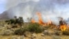 ادامه آتش‌سوزی در یک منطقه حفاظت شده در کرمانشاه