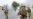 Georgia Asks U.S. To Mediate In South Ossetia Crisis