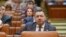 Romania, Catalin Radulescu, MP, Bucharest, 20th nov 2017, Inquam Photos