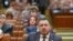 Deputatul PSD Cătălin Rădulescu
