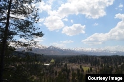 აპლური ბაღის მცირე ნაწილი.