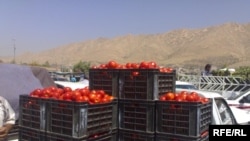Iraq -- Harvest of wheat and barley seemed to help for the disposal of the product of the local fruit in Duhok, undated