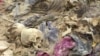 Iraq: Mass Grave IDs Fast-Tracked