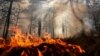 Лесной пожар в Иркутской области (архивное фото)