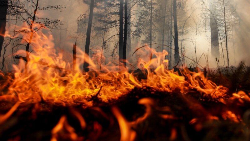 У башкортостанского города Баймак локализован степной пожар
