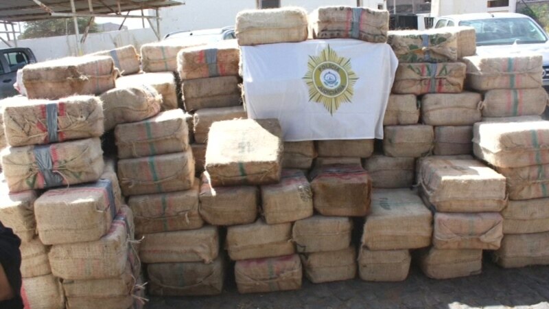 Африкада орус моряктары 10 тонна кокаин менен кармалды 