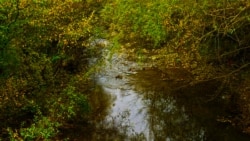 Река Коккозка, архивное фото