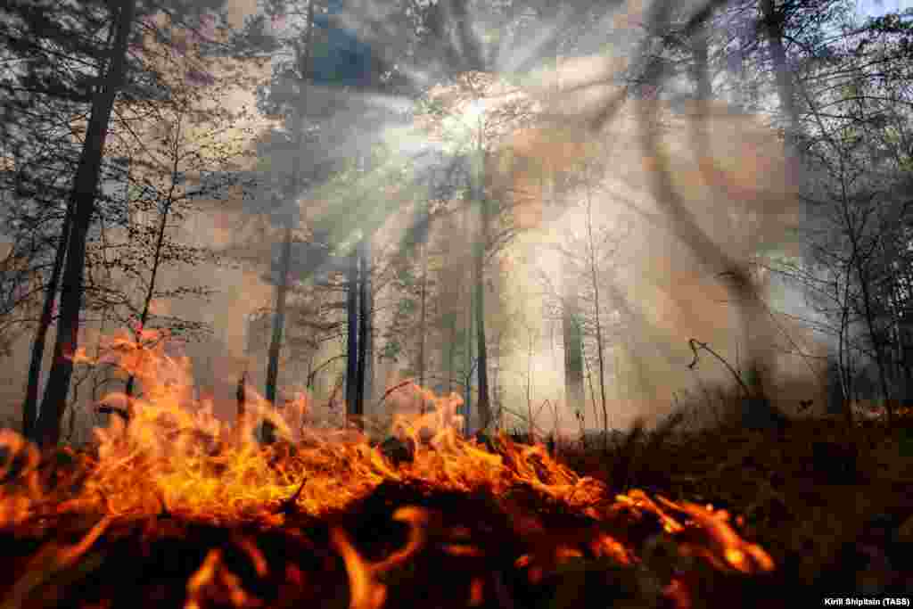 Wildfire threatens the village of Melnichnaya Pad in the Irkutsk Region of Russia on May 27. Volunteers managed to stop the fire from spreading to a summer camp for children. (TASS/Kirill Shipitsin)