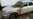 Russian NGO Memorial's Car Torched In Daghestan