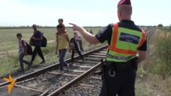 Migrant Wave Sweeps Across Hungarian Border Fence