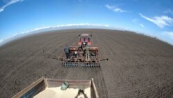 Земля в Україні