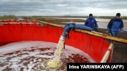 Илустрација.