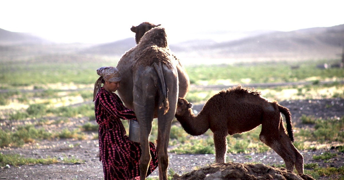 Жетілген әйел жағажайда трахает алады