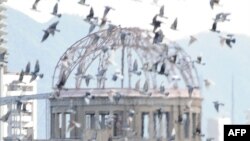 Японія - галубы лётаюць вакол «Купалу атамнага выбуху» ў Хірасіме. Будынак знаходзіўся за 160 мэтраў ад эпіцэнтру выбуху і ўтрымаўся
