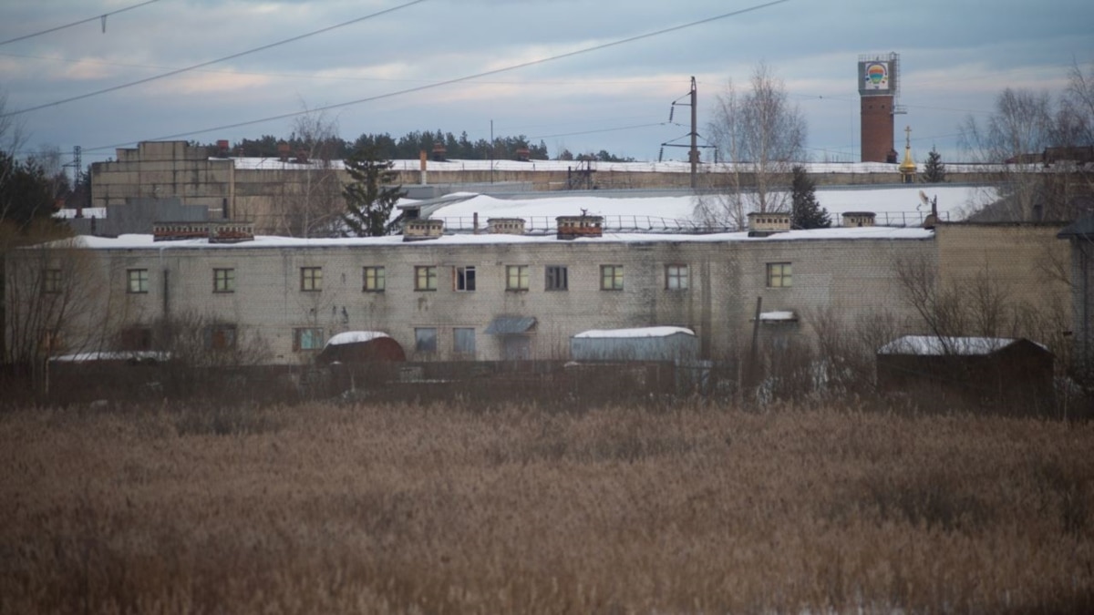 Ик 2 покров владимирская. Исправительной колонии №2 в городе Покров Владимирской области. ИК Покров Владимирской области. Красная колония во Владимирской области. Тюрьма Покров Владимирская область фотографии.