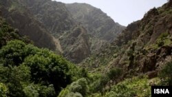 Fotografi ilustruese