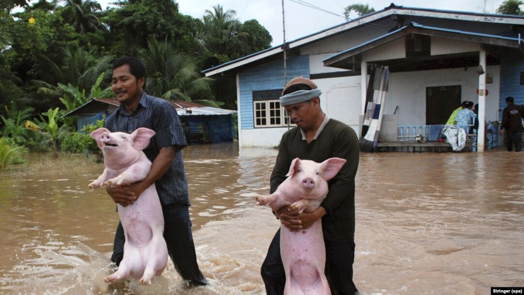 Poplave 