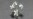Russian Scientists Grow Ice-Age Flower