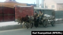 Қос есек жегілген арбада отырған адамдар. Алматы, 18 қаңтар, 2015 жыл. (Көрнекі сурет)