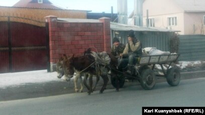 Бисексуалды ммф порно