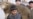 Students In Tatarstan Want Muslim Holiday Observed