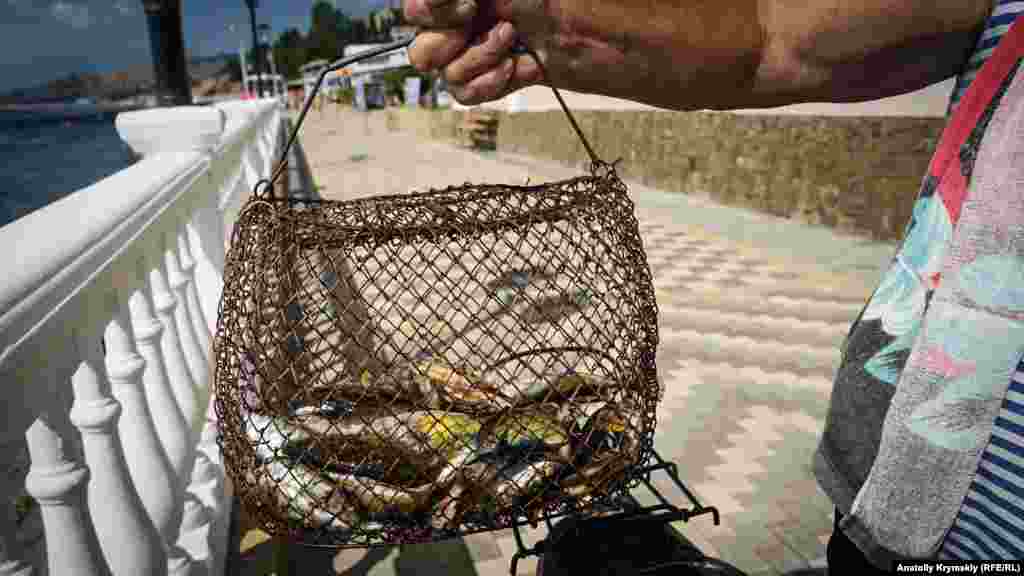 Утренний улов местного рыбака: морские ерши, кефаль, бычки, барабулька