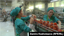 Одно из предприятий перерабатывающей промышленности в Кыргызстане.