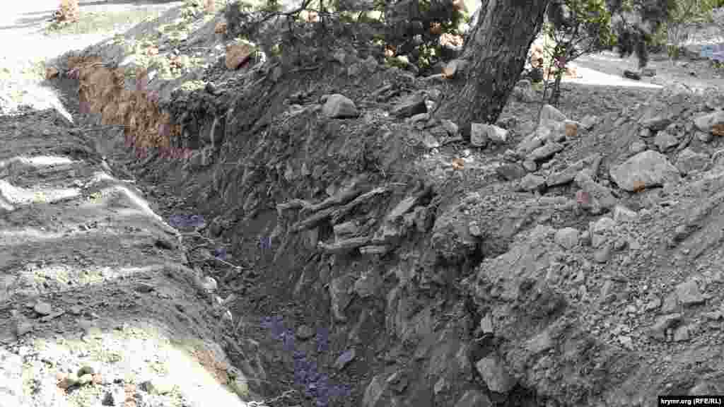 У багатьох місцях пошкоджена коренева система дерев