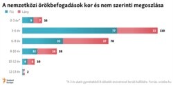 A nemzetközi örökbefogadások kor és nem szerinti megoszlása 2019-ben.