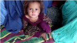 Afghanistan - families displaced by Taliban attacks and fighting in Kunar Province - screen grab - Radio Azadi