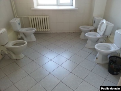 Жалаңаш балапандардың суреттері