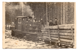 Робота депортованих на лісоповалі. 1958–1959 роки