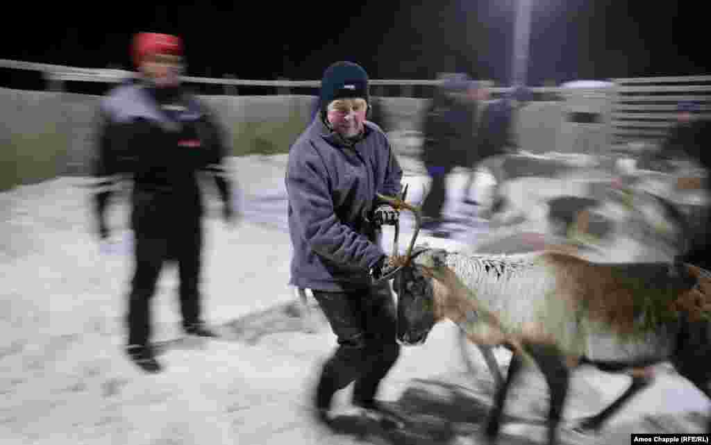 "We read about it in the news, but we never thought it could reach us here.... But it came, and our reindeer became very radioactive."