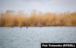 Озеро Балхаш. Поселок Улькен, Алматинская область, 13 апреля 2019 года.