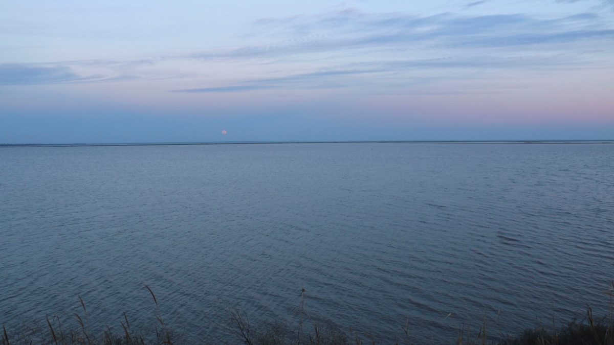 Куйбышевское водохранилище. Сивашская рыба.