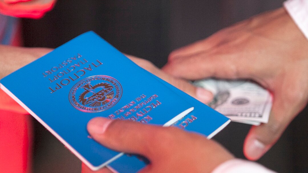 Подделка Паспорта Программа На Каппушеву Светлану