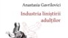 Coperta cărții „Industria liniștirii adulților”