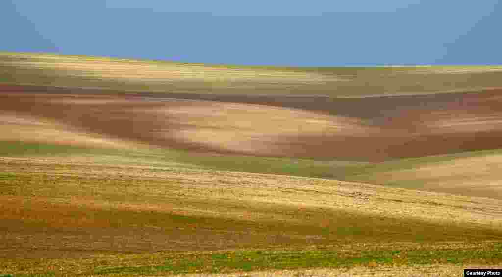 Фотографија на Владимир Арсовски.