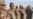U.S. Iraq Report Draws Cautious Praise