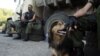 Ukraine -- A Pro-Russian militant carresses a dog while guarding a check-point in the eastern Ukrainian city of Slavyansk on June 6, 2014.