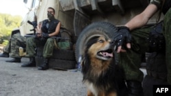 Ukraine -- A Pro-Russian militant carresses a dog while guarding a check-point in the eastern Ukrainian city of Slavyansk on June 6, 2014.