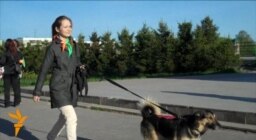 Есть ли право у зверя?