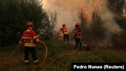 Vatrogasci gase požar u gradu Agueda, u oblasti Aveiro na severozapadu Portugala, 18. septembar 2024.
