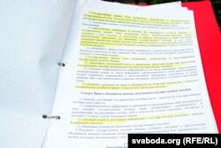 Вольга Макарэвіч сьцьвярджае, што без дапамогі юрыстаў самой разабрацца ў законах немагчыма