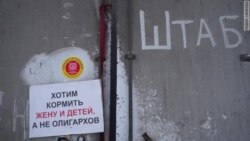 Два месяца после «Платона» (видео)