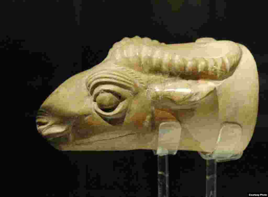 Rhyton in the form of a mountain goat, first millennium B.C., Ziwiye, Kurdish region (photo by Mauricio Marat/INAH)