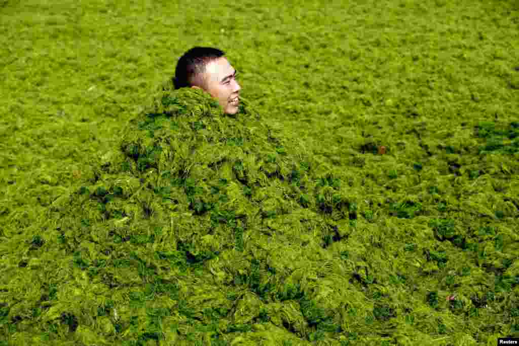 A man covers himself in algae as he plays with his friends at the seaside in Qingdao, China. (Reuters)